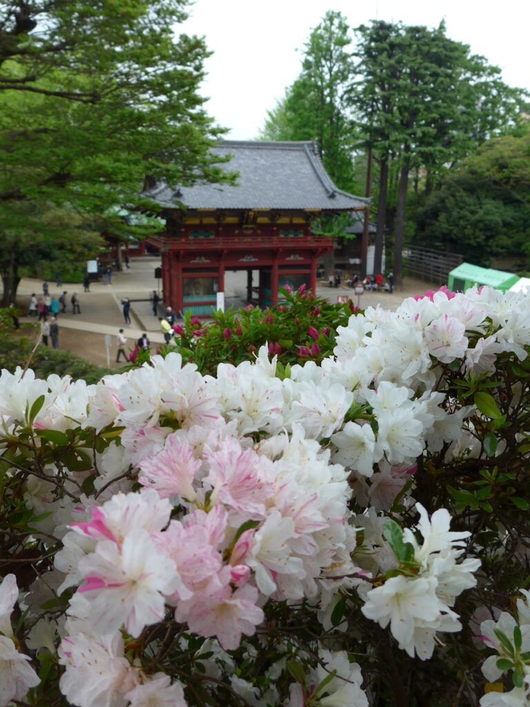 日本的春分之日