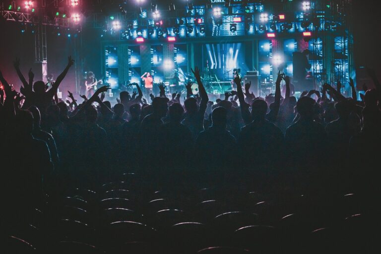 旭日的搖滾音樂節 RISING SUN ROCK FESTIVAL