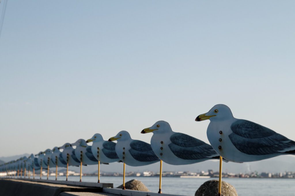 瀨戶內海藝術節2025