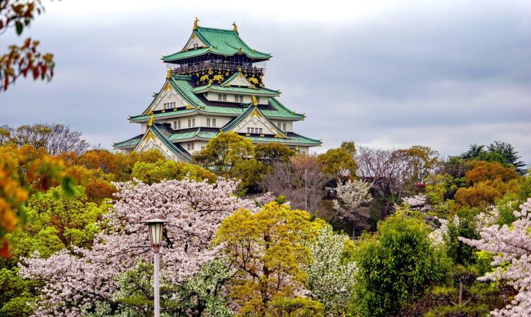 大阪的櫻花季 cherry blossoms, japan, osaka, flowering season, pagoda, nature, sakura trees, architecture, japanese architecture, japanese garden, osaka, osaka, osaka, osaka, osaka, japanese garden