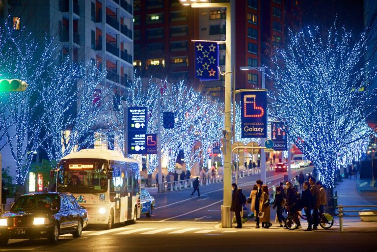東京的冬季燈飾 Winter Illuminations in Tokyo