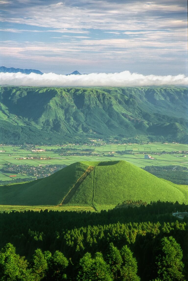 火山與阿蘇 a lush green hillside covered in lush green trees