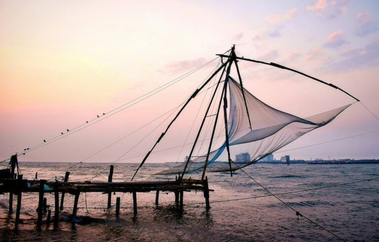 坂本龍馬與高知 white and blue tent on gray sand during daytime