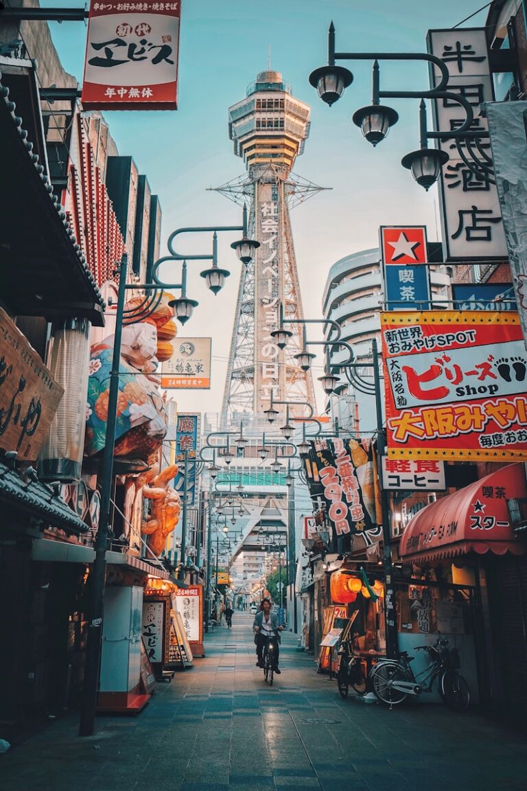 豐臣秀吉與大阪 people walking on street during daytime