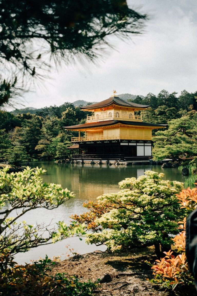 三島由紀夫與金閣寺 a person standing in front of a pond with a pagoda in the background