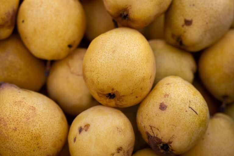 梨子與鳥取縣 a pile of yellow pears with brown spots