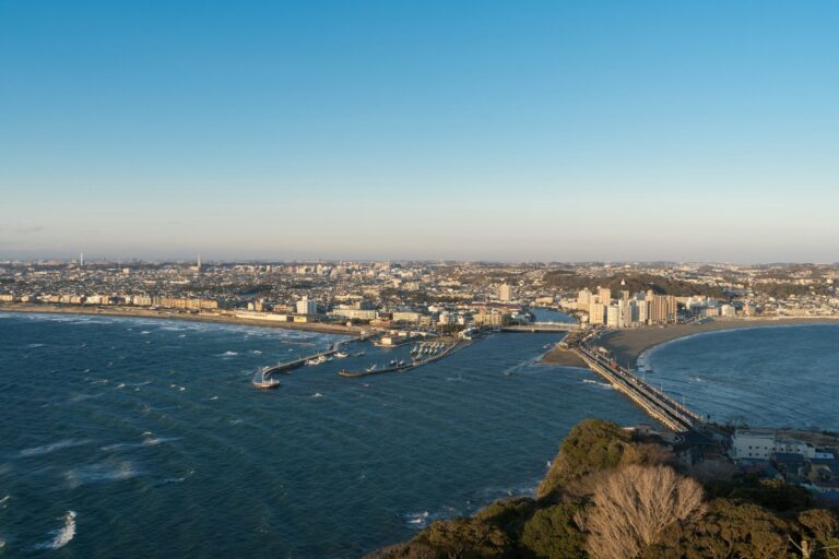 貓與江之島aerial view of city buildings near body of water during daytime