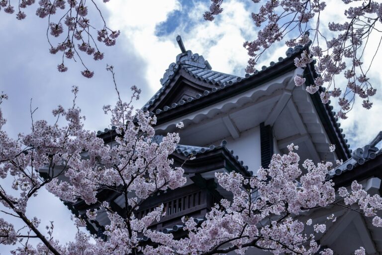 海鮮與金澤 white house