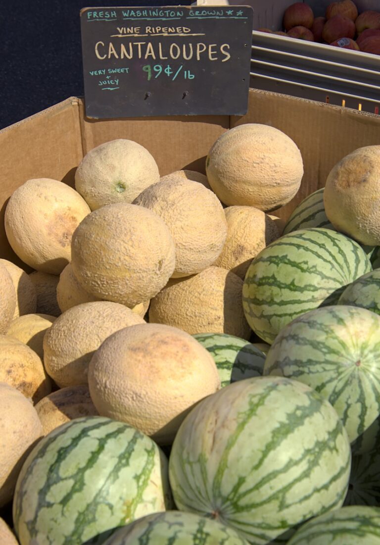 哈密瓜與夕張 a group of watermelons in a display case