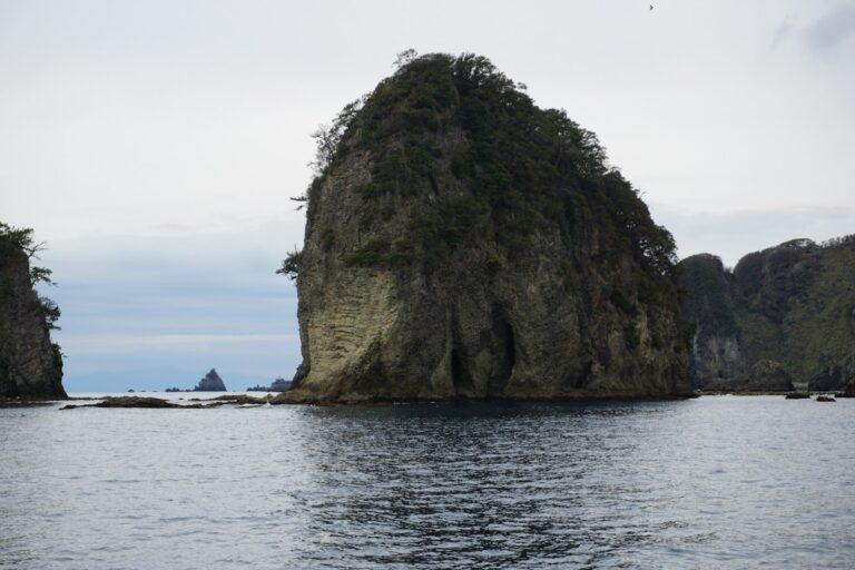 川端康成與伊豆半島 a large rock in the middle of a body of water