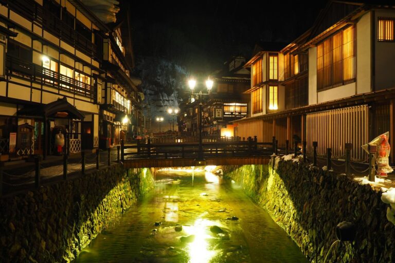 阿信的故鄉山形縣 a river running through a city at night