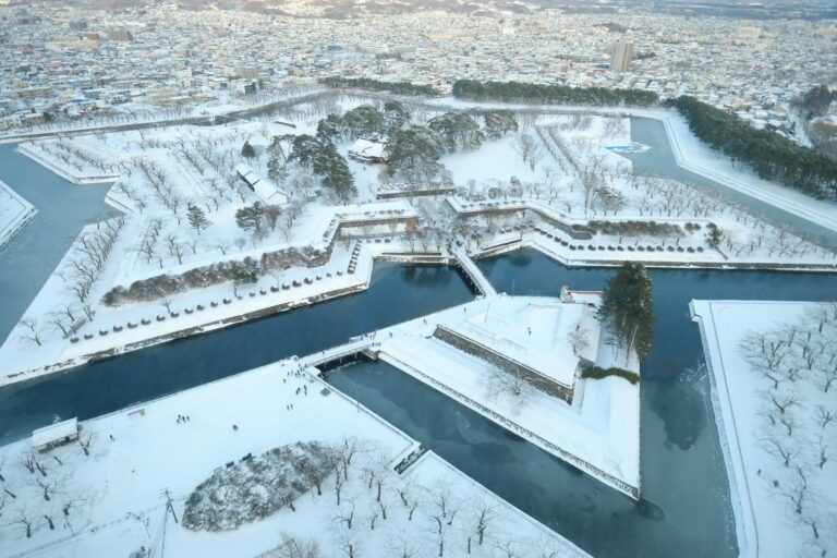 五稜郭與函館 aerial view of white snow covered field during daytime
