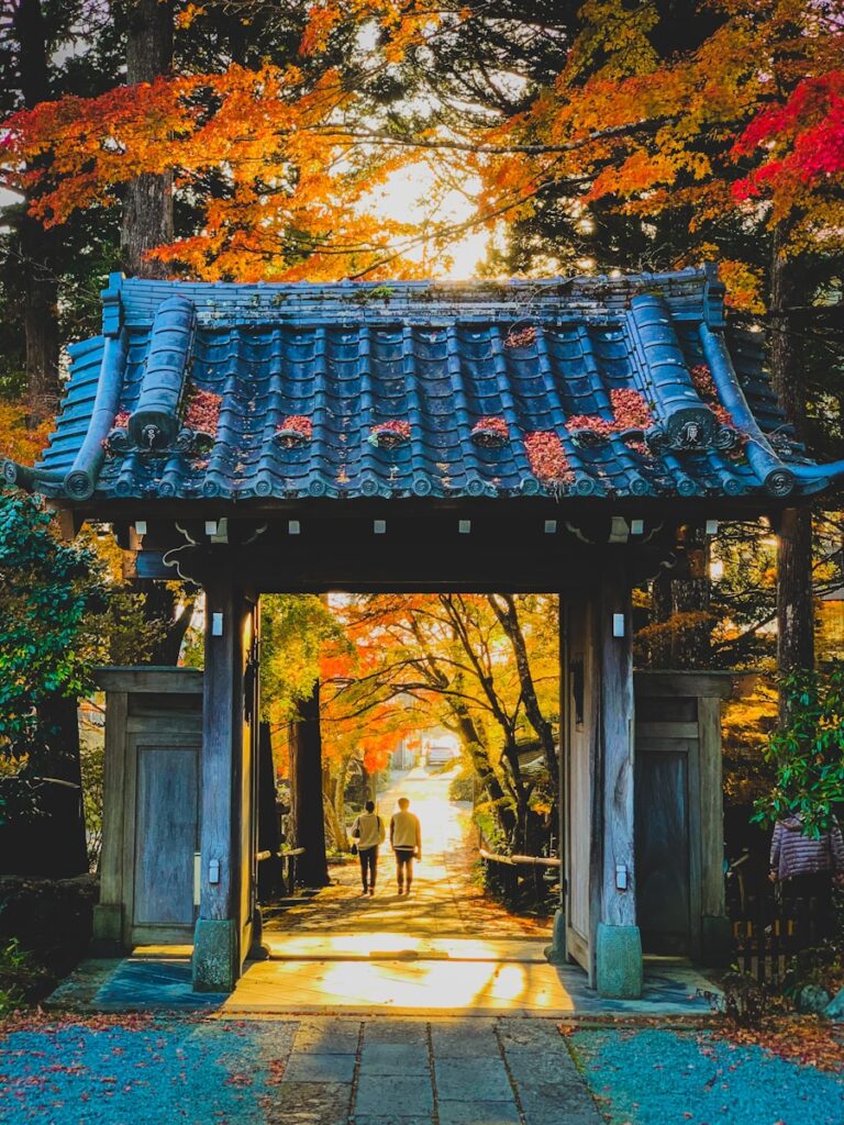 豐田與名古屋brown and black wooden house near trees during daytime