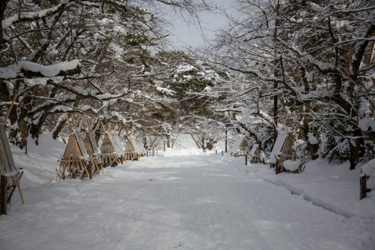 青森的雪燈路 brown wooden house with snow