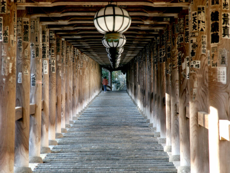 大佛與鐮倉 Hasedera