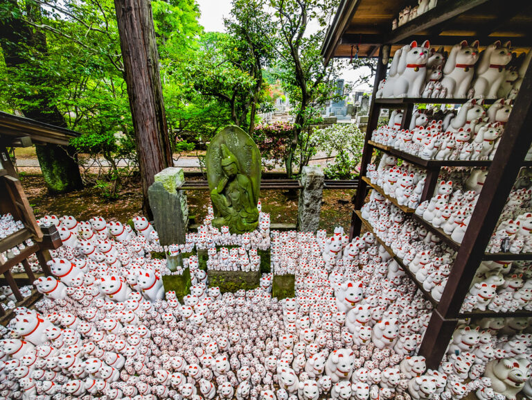日本招財貓的由來 Gotokuji Temple